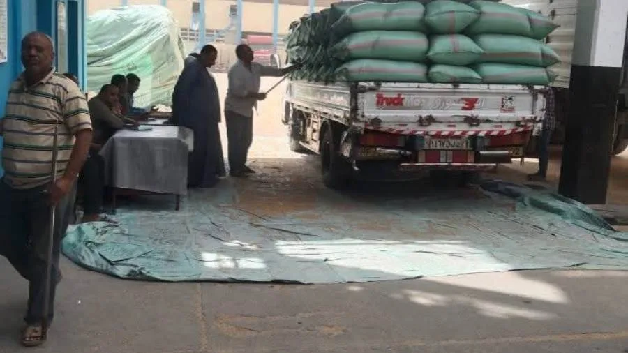 محافظ المنيا: استمرارية تسليم القمح مع وصول الكمية إلى 509 آلاف طن في الشُونات والصوامع. محافظ المنيا: استمرارية تسليم القمح مع وصول الكمية إلى 509 آلاف طن في الشُونات والصوامع.