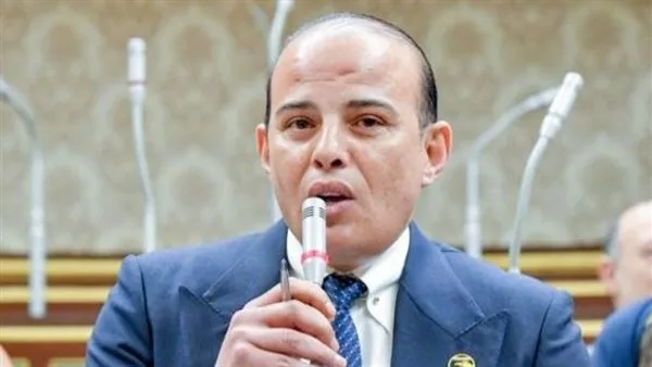 “القطامي”: خطة 2025/2026 تهدف إلى توفير 900 ألف وظيفة وتحقيق نمو مستدام “القطامي”: خطة 2025/2026 تهدف إلى توفير 900 ألف وظيفة وتحقيق نمو مستدام