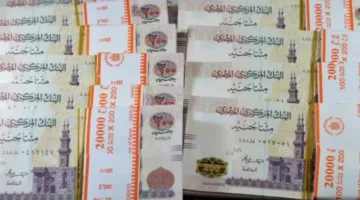 البنك المركزي: 10 بنوك كبرى تمثل 70.3% من رؤوس أموال القطاع بحلول نهاية مارس