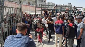احتلال الجيش يُنفذ عمليات إعدام: 9 شهداء وجرحى بالعشرات في وسط قطاع غزة