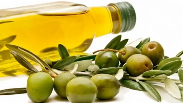 فوائد زيت الزيتون لصحة القلب وضغط الدم.. والجرعة المثلى للاستخدام فوائد زيت الزيتون لصحة القلب وضغط الدم.. والجرعة المثلى للاستخدام