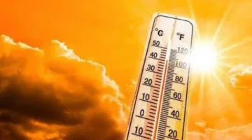 الأرصاد تنبه من ضباب صباحي وانخفاض طفيف في درجات الحرارة