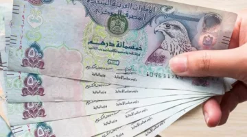 سعر الدرهم الإماراتي مقابل الجنيه اليوم الثلاثاء 17 يونيو 2025
