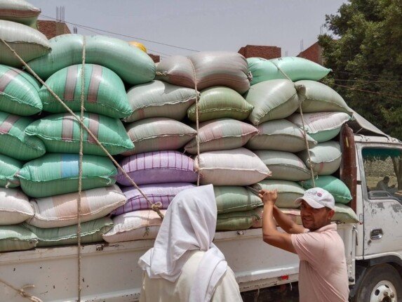 رقم تاريخي في المنيا.. المحافظ يعلن عن توريد 509 آلاف طن من القمح منذ انطلاق الموسم.