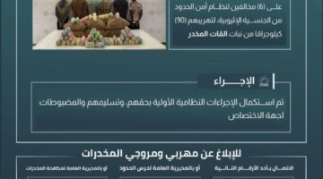 حرس الحدود في عسير يعتقل 6 أشخاص مخالفين لنظام أمن الحدود بتهمة تهريب 90 كيلوغرامًا من نبات القات المخدر