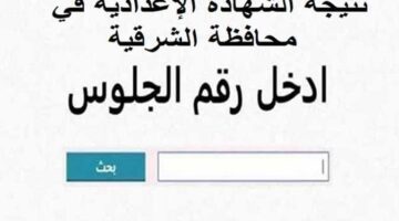 نتائج الشهادة الإعدادية لمحافظة الشرقية 2025 باستخدام رقم الجلوس: كيفية الاستعلام والرابط فور الإعلان