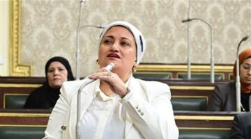 سناء السعيد ترفض الميزانية العامة: لا تعكس اهتمامات المواطن المصري بل تزيد من أعبائه المعيشية.