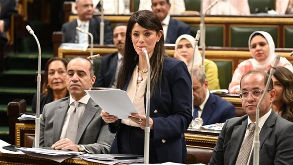 المشاط تلتقي بـ ديوب لمناقشة آفاق التعاون لدعم القطاع الخاص في مصر