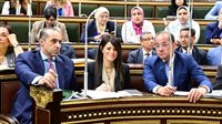 التخطيط: استثمارات عامة تصل إلى 1.15 تريليون جنيه في خطة 2025/2026