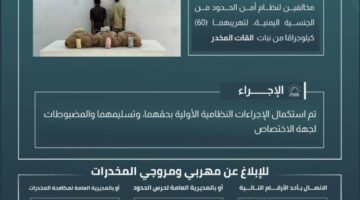 حرس الحدود في جازان يعتقل مخالفين لقوانين أمن الحدود لتورطهما في تهريب 60 كيلوجرامًا من نبات القات المخدر.