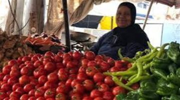أسعار الفواكه والخضروات في كفر الشيخ بتاريخ الثلاثاء 17 يونيو