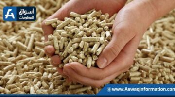 زيادة سعر الطن من الأعلاف.. أسعار الأعلاف اليوم الثلاثاء لدى التجار