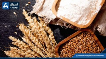 شرطة التموين تحجز 12 طنًا من الدقيق الأبيض والبلدي المدعوم.