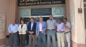 زيارة سفير سنغافورة إلى كفر الشيخ لاستعراض تجارب زراعة الأرز