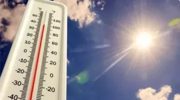 تقرير حالة الطقس اليوم من الهيئة العامة للأرصاد الجوية.. أجواء مريحة