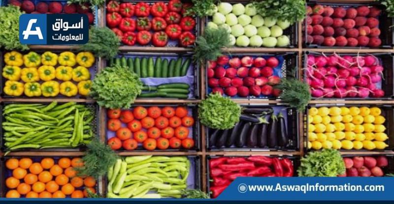 زيادة أسعار البامية: أسعار الخضروات اليوم الثلاثاء في سوق العبور زيادة أسعار البامية: أسعار الخضروات اليوم الثلاثاء في سوق العبور