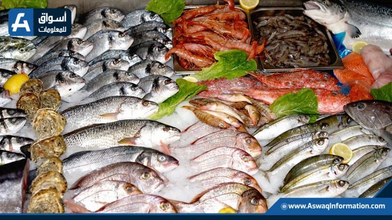 انخفاض أسعار البوري: أسعار السمك اليوم الثلاثاء في سوق العبور انخفاض أسعار البوري: أسعار السمك اليوم الثلاثاء في سوق العبور