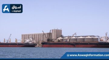 ميناء دمياط يستقبل 63 ألف طن من القمح الأوكراني لصالح الدولة