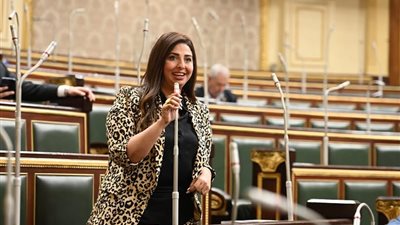 نشوى الشريف: نائبة التنسيقية تؤكد أن اشتراط التدريب في الاتفاقيات البترولية يعد خطوة أساسية لتطوير الكوادر المصرية القيادية في القطاع. نشوى الشريف: نائبة التنسيقية تؤكد أن اشتراط التدريب في الاتفاقيات البترولية يعد خطوة أساسية لتطوير الكوادر المصرية القيادية في القطاع.