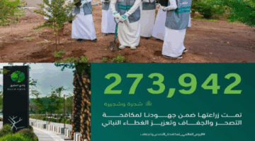 زراعة 273 ألف شجرة في المدينة المنورة كجزء من جهود مواجهة التصحر وتعزيز الغطاء النباتي