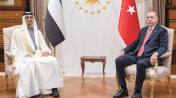 رئيسا الإمارات وتركيا يؤكدان أهمية تعزيز الجهود لتهدئة الأوضاع واستئناف الحوار
