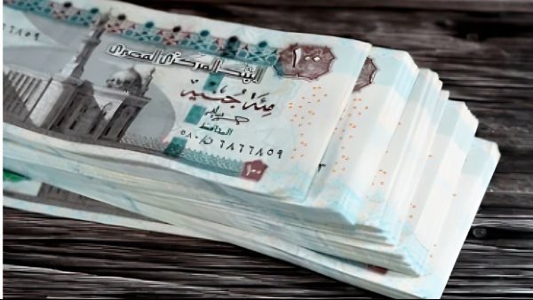 زيادة الرواتب ليست في يونيو.. التوقيت الرسمي لصرف الرواتب الجديدة والزيادات المحددة. زيادة الرواتب ليست في يونيو.. التوقيت الرسمي لصرف الرواتب الجديدة والزيادات المحددة.
