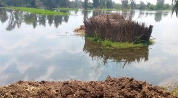 محافظ سوهاج لـ”مصر تايمز”: إحالة المتسببين في غرق منازل المواطنين في نجع الدير إلى النيابة العامة