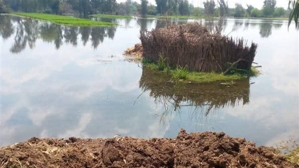 محافظ سوهاج لـ”مصر تايمز”: إحالة المتسببين في غرق منازل المواطنين في نجع الدير إلى النيابة العامة