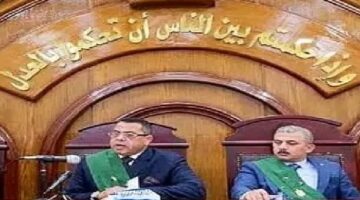 حبس لمدة 5 و10 سنوات لثلاثة متهمين بسرقة توكتوك والاتجار في المخدرات في الشرقية