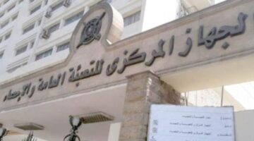 الإحصاءات: ارتفاع بنسبة 32% في عدد الأجانب الحاصلين على تصاريح عمل في مصر لعام 2024