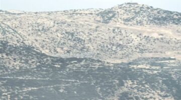 في الجنوب.. احتجاز “راعٍ” أثناء تقدم القوات الإسرائيلية!