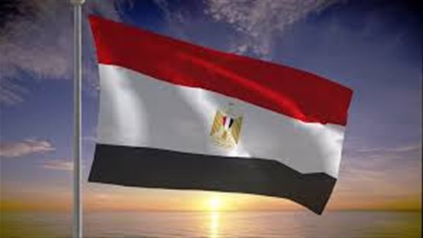 زيفانوفيتش: مصر هي مفتاح الدخول إلى إفريقيا والشرق الأوسط زيفانوفيتش: مصر هي مفتاح الدخول إلى إفريقيا والشرق الأوسط