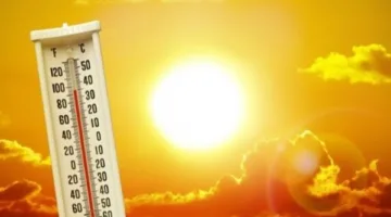 عاجل.. تحديثات حالة الطقس في مصر اليوم الجمعة.. الأرصاد تنبه من هذه الظاهرة