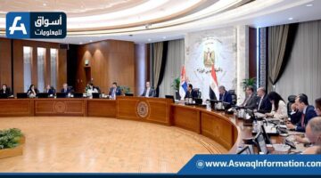 رئيس الوزراء: نأمل في تعزيز التبادل التجاري للمنتجات الزراعية مع صربيا، والعمل معًا في مجالات السياحة والطاقة وقضايا العمل.