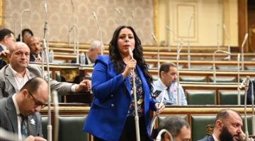 مرثا محروس “نائبة التنسيقية”: تغييرات قانون الموارد المائية تضمن الحفاظ على الأراضي الزراعية والأمن الغذائي