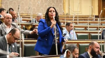 نائبة التنسيقية: ظاهرة حفر الآبار غير المنظمة تشكل خطرًا على التربة والمحاصيل ومقدرات البلاد