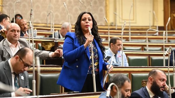 نائبة التنسيقية: ظاهرة حفر الآبار غير المنظمة تشكل خطرًا على التربة والمحاصيل ومقدرات البلاد نائبة التنسيقية: ظاهرة حفر الآبار غير المنظمة تشكل خطرًا على التربة والمحاصيل ومقدرات البلاد