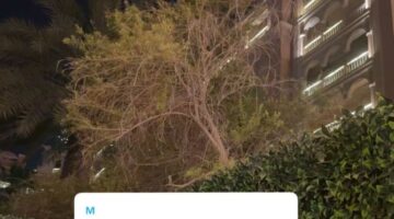 سلمان الفرج ي responds على قلة الدعم لفريق الهلال في مباراته ضد ريال مدريد