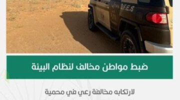 الجهات البيئية تلاحق شخصًا للاشتباه في انتهاكه لقواعد الرعي في محمية الإمام عبدالعزيز