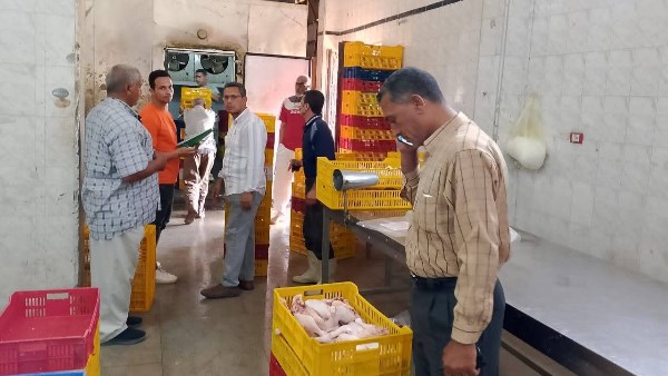 ضبط 5 أطنان من قطع الدجاج غير المطابقة للمواصفات في مجزر بالزرقا
