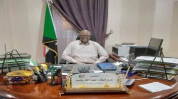 290 ألف سوداني_returned to their home country from Egypt since 2024.