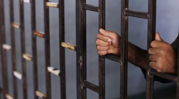 الحبس مع العمل.. كن حذرًا من عقوبة القتل المتعمد للحيوانات في القانون