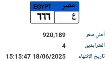 مزاد على لوحة سيارة فريدة “ع- 666” بسعر مليون جنيه