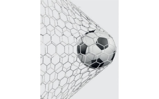حديث الملاعب