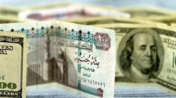 سعر الدولار مقابل الجنيه المصري اليوم، الأربعاء 18 يونيو 2025