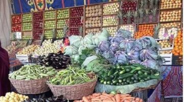 أسعار الفواكه والخضروات في الأسواق المصرية اليوم، الأربعاء 18 يونيو 2025