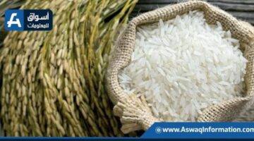 سعر الأرز اليوم الأربعاء لدى التجار: كم يبلغ سعر طن الشعير؟