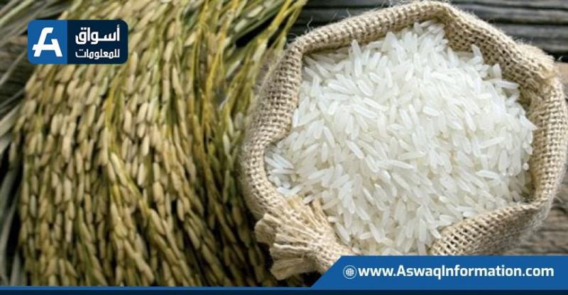 سعر الأرز اليوم الأربعاء لدى التجار: كم يبلغ سعر طن الشعير؟ سعر الأرز اليوم الأربعاء لدى التجار: كم يبلغ سعر طن الشعير؟