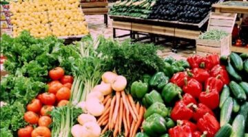 أسعار الخضار والفواكه في كفر الشيخ ليوم الأربعاء 18 يونيو 2025