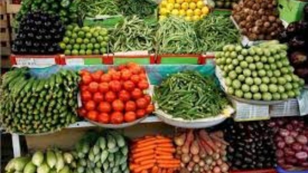 أسعار الفواكه والخضروات في مصر بتاريخ 18 يونيو 2025، الأربعاء أسعار الفواكه والخضروات في مصر بتاريخ 18 يونيو 2025، الأربعاء